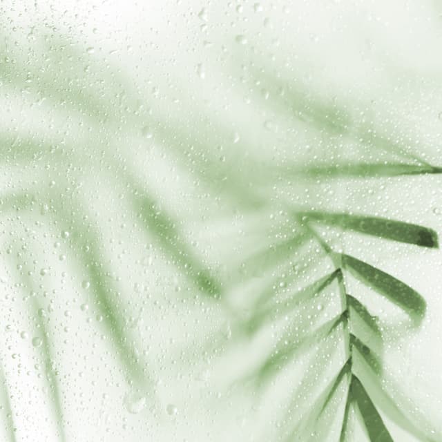 Basic Bikini Wax 5-Pack at Atrium Skin Studio in Georgetown, TX